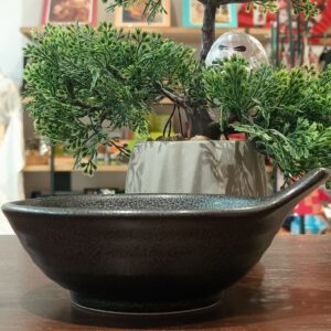 Cuenco tonsui japonés negro