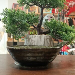 Cuenco tonsui japonés verde