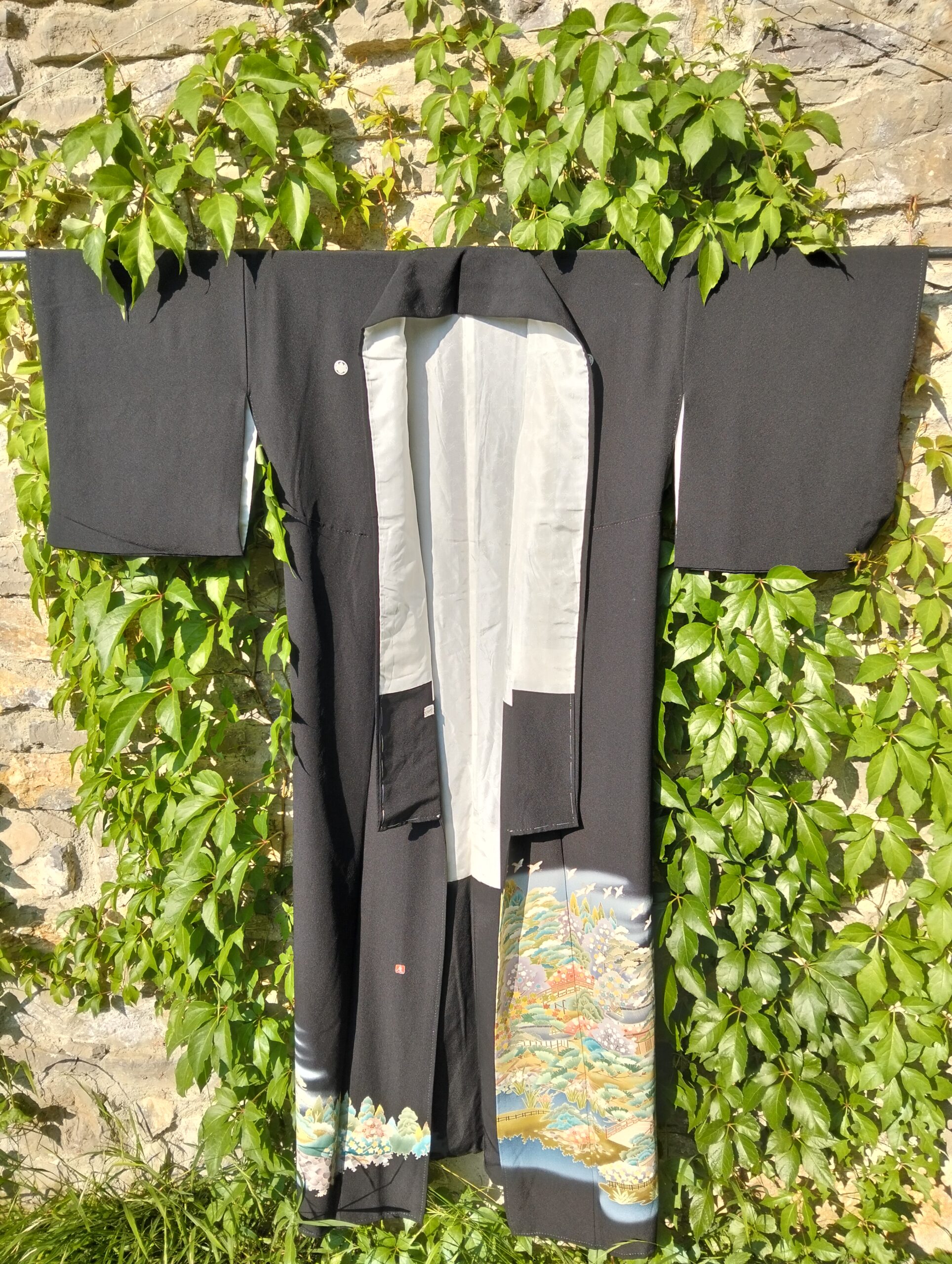 kimino negro flora y fauna