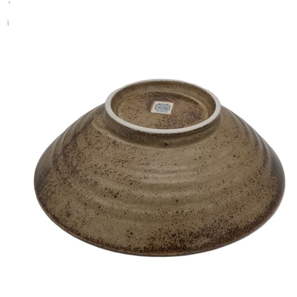 Cuenco de Ramen Japonés Tierra Texturizada – 24,5 cm - Imagen 4