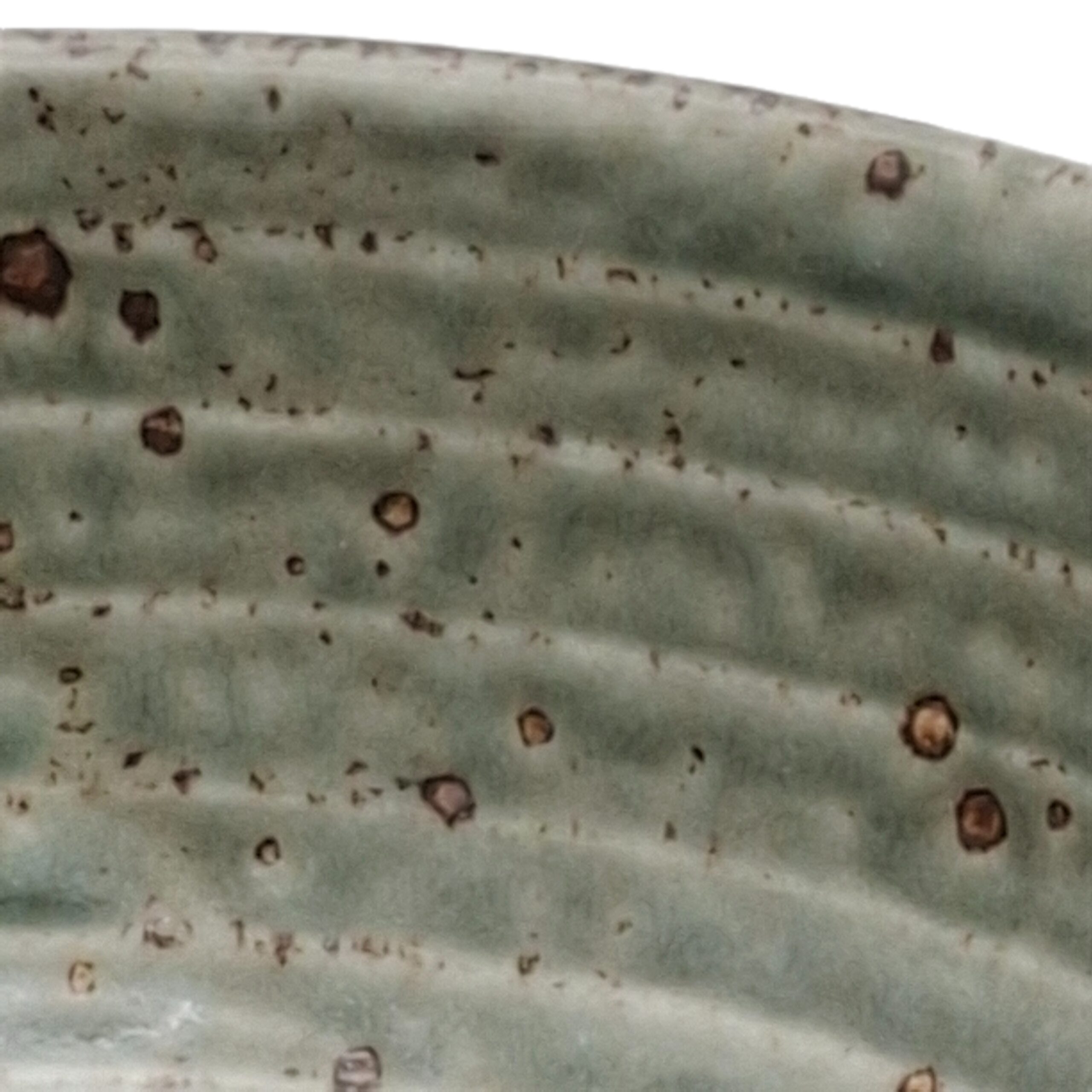 Cuenco de Ramen Japonés Verde Oscuro – 17,3 cm - Imagen 4