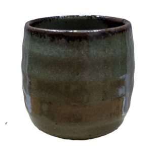 Taza japonesa de té Shibuso Taru verde de cerámica 170 ml